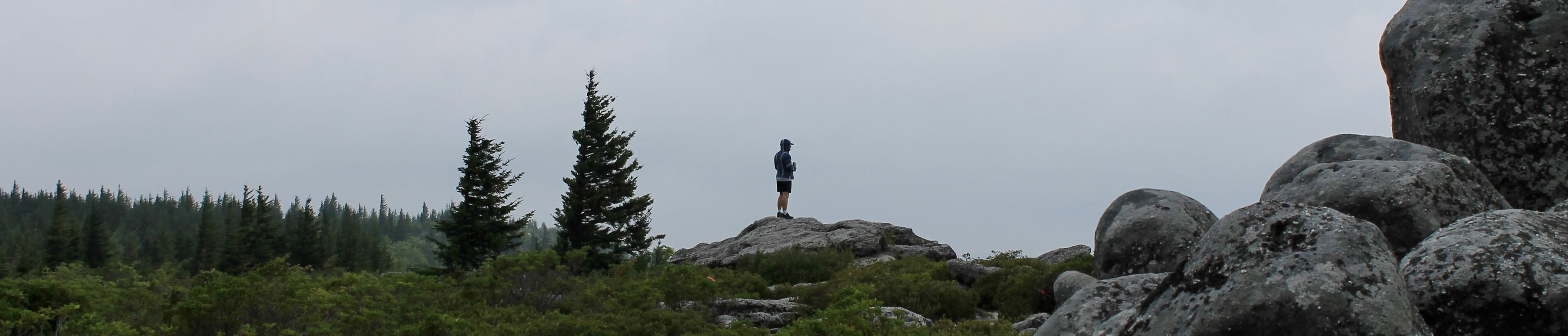 Josh in Wilderness